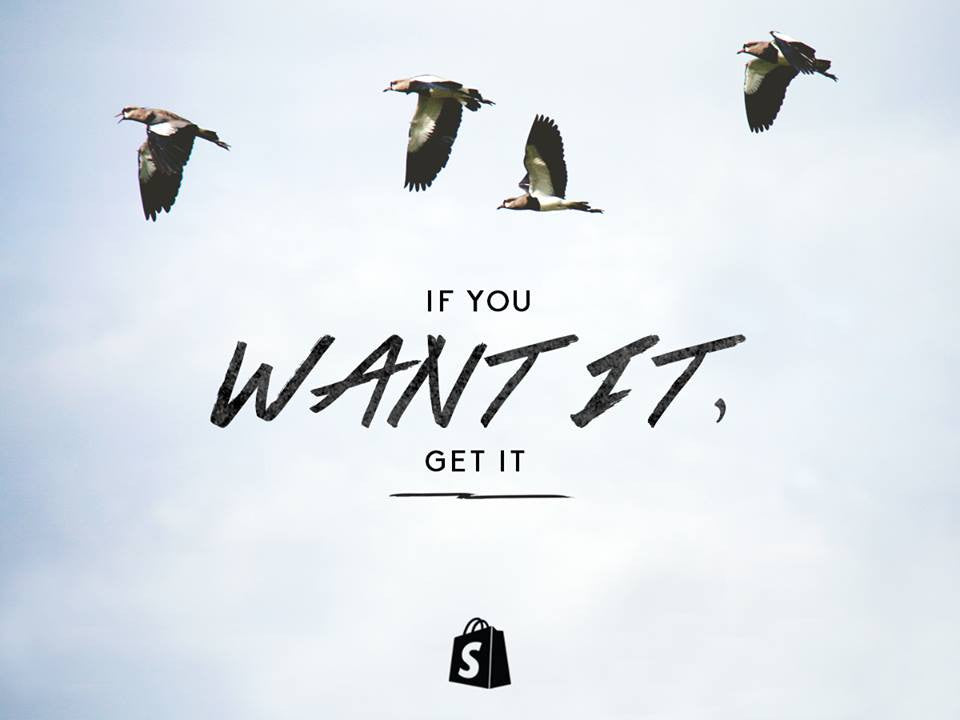 Shopify Professional Photography Service.