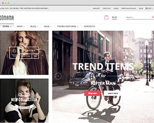 Ap Modern Fashion Shopify Theme