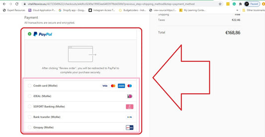 Mollie Shopify payment gateway Germany Europe set up and integration service.