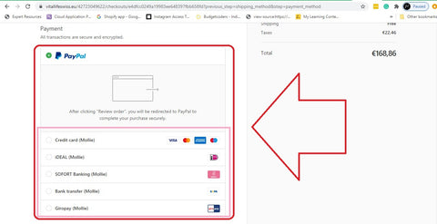 Mollie Shopify payment gateway Germany Europe set up and integration service.